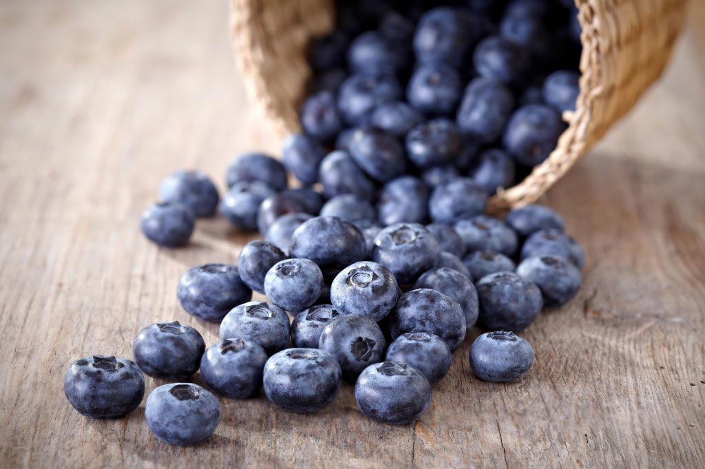 10 Foods You Should Eat Every Day