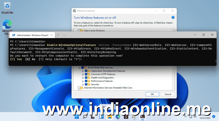 Command to install Internet Information Service Win 11
