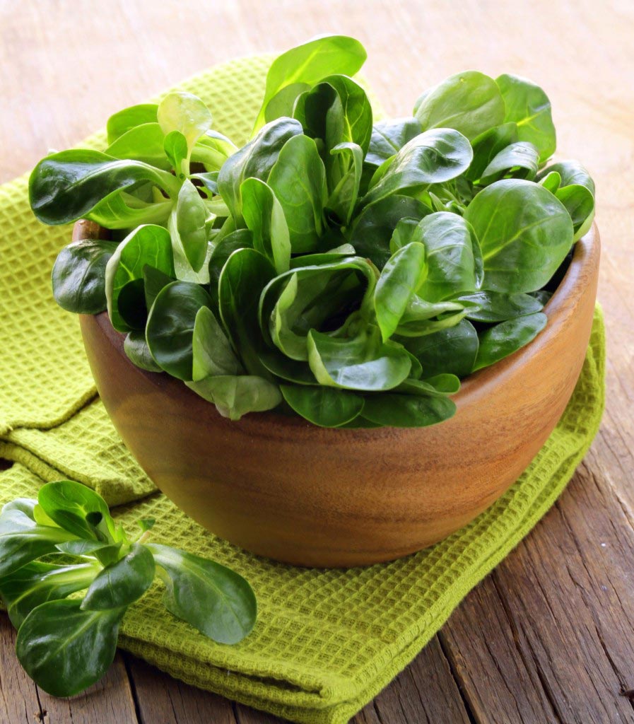 10 Foods You Should Eat Every Day