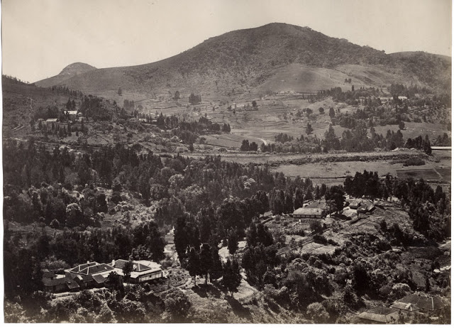 ooty 1880