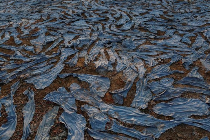 ganga pollution