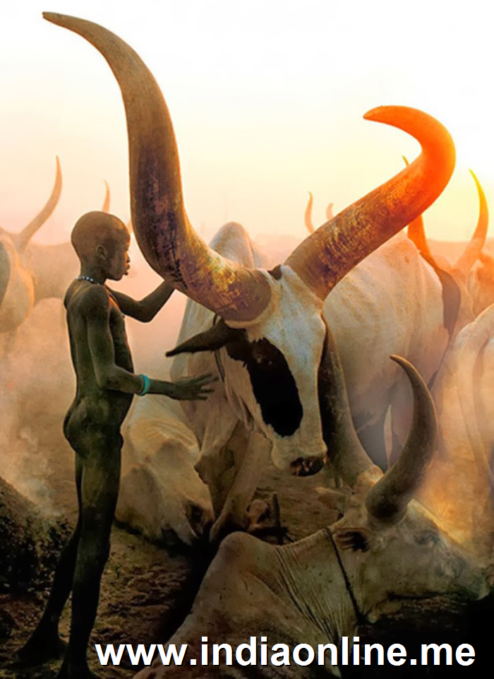 Dinka de Sudan