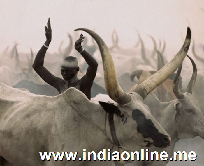 Dinka de Sudan