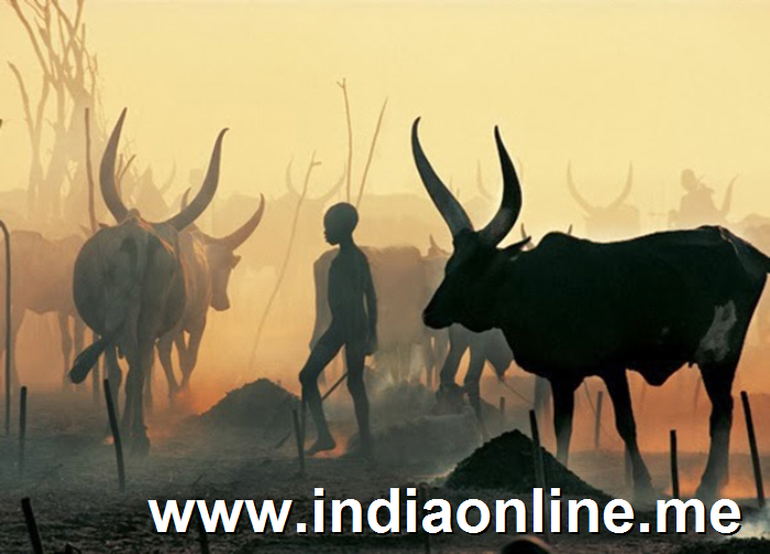 Dinka de Sudan