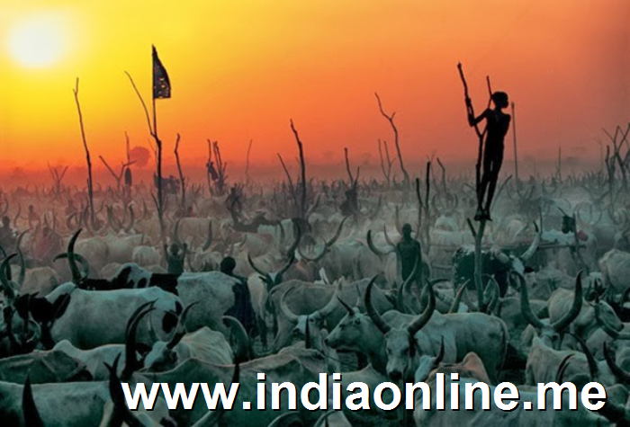 Dinka de Sudan