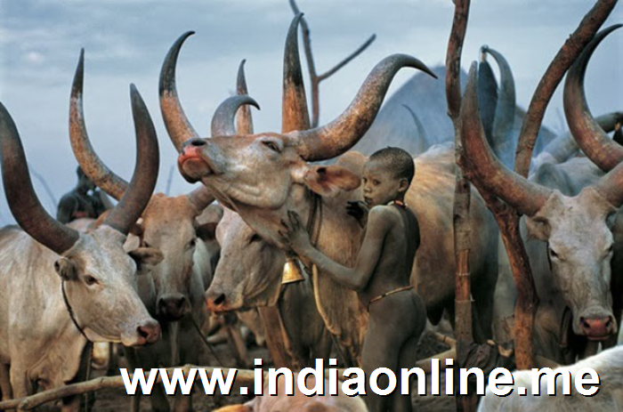Impresionantes images de una tribu de Sudan