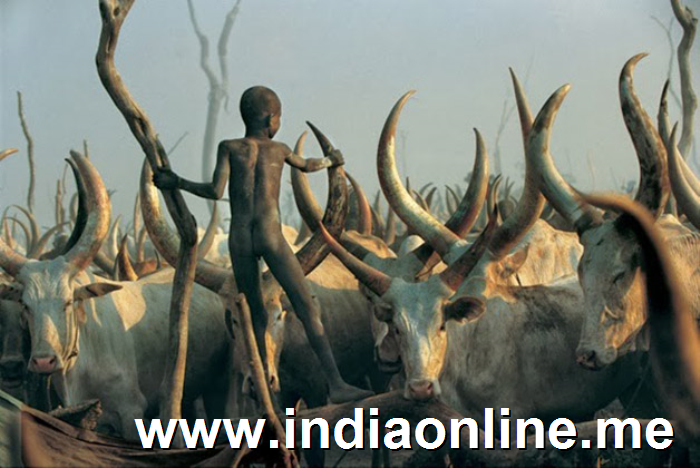 Impresionantes im�genes de una tribu de Sudan