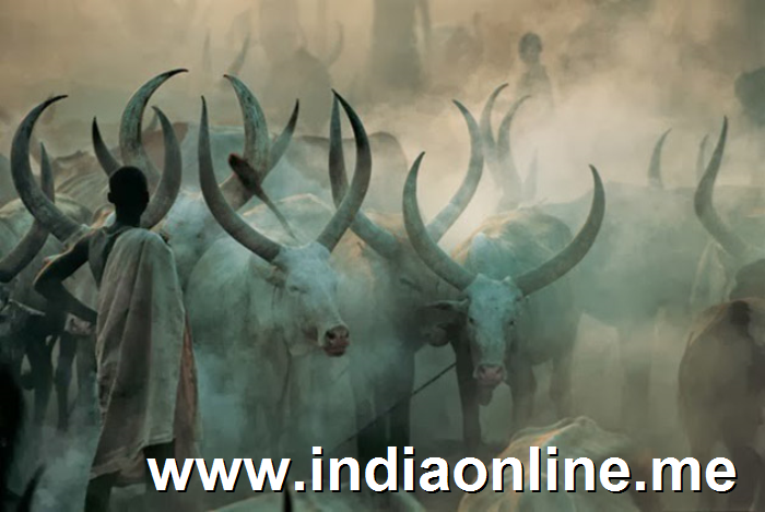 Impresionantes im�genes de una tribu de Sudan