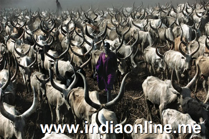 Impresionantes im�genes de una tribu de Sudan