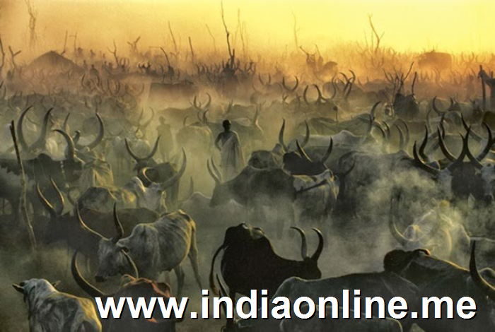 Impresionantes im�genes de una tribu de Sud�n