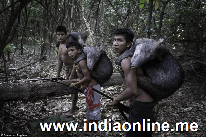 Hunters: Photographer Domenico Pugliese is one of those lucky enough to spend time with this  tribe, for which family is all important