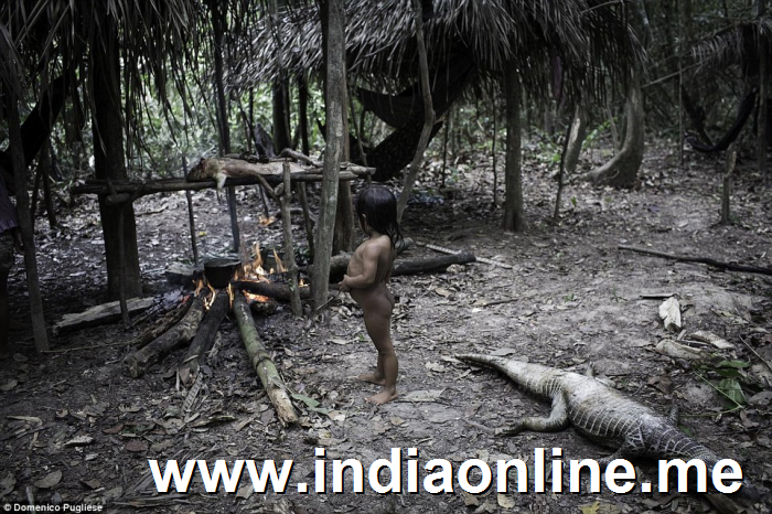 Home: Awa people are helped in their everyday tasks, such as cracking nuts and gathering fruit, by their pets, which are part of the family