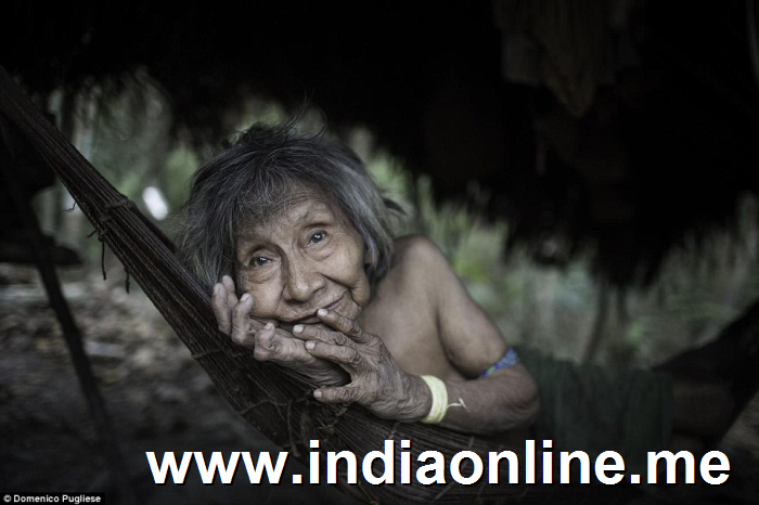 Endangered:�Of the tens of thousands of Awa people who lived in settlements across Maranhao�state 500 years ago, only 300 remain today