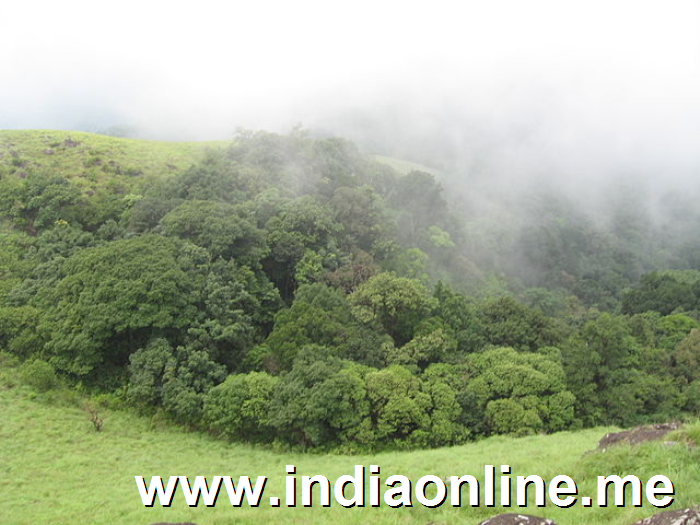 Ranipuram Wildlife Sanctuary, Kerala