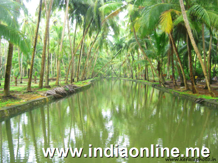 Vadanapally