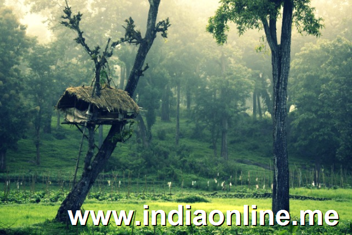 Muthanga Wildlife Sanctuary