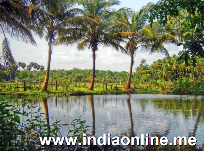 Kerala Village