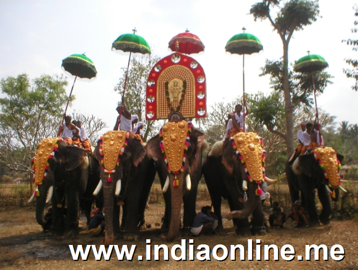 Decorated Elephants 
