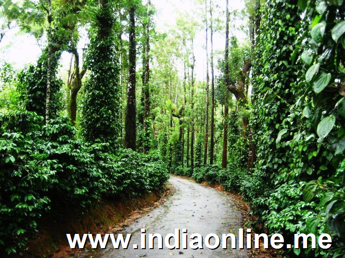 Coorg is amongst the best places to visit in India