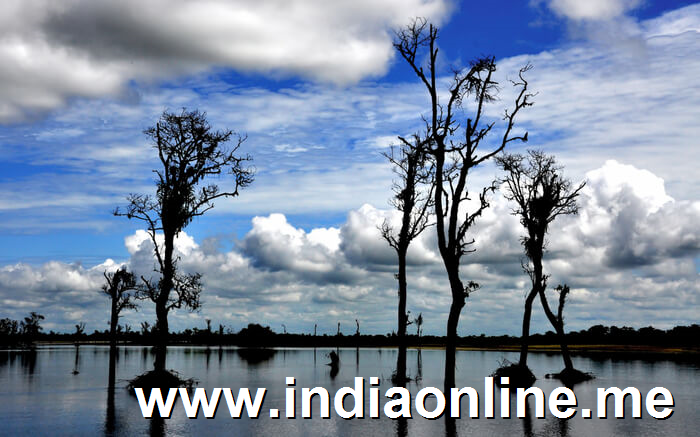 Dibru Saikhuwa National Park