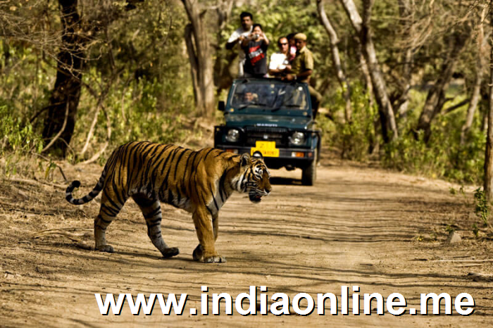 Bring on the adventure at Jim Corbett