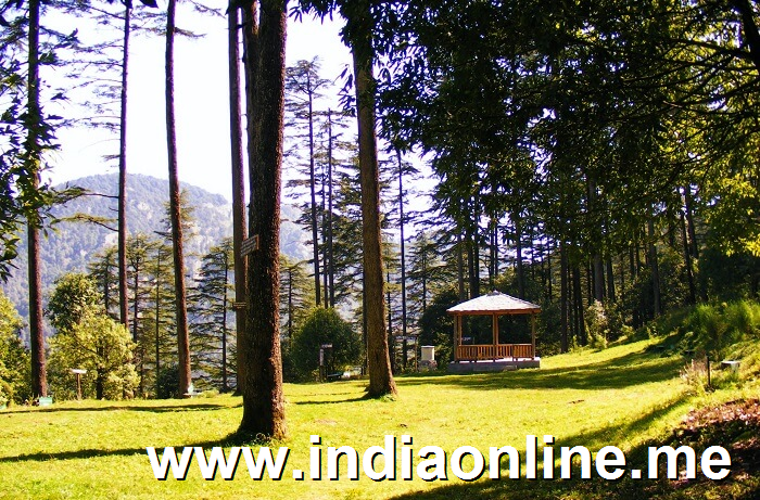 Dhanaulti 