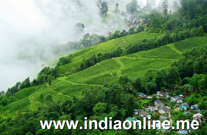 Darjeeling