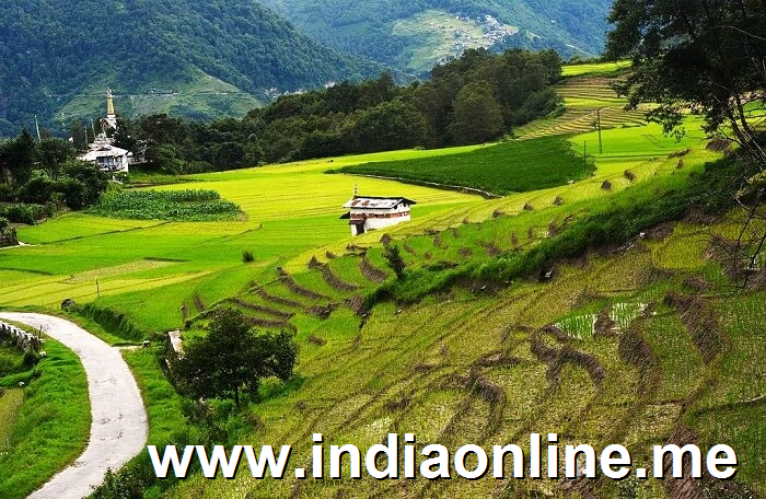 Ziro Valley