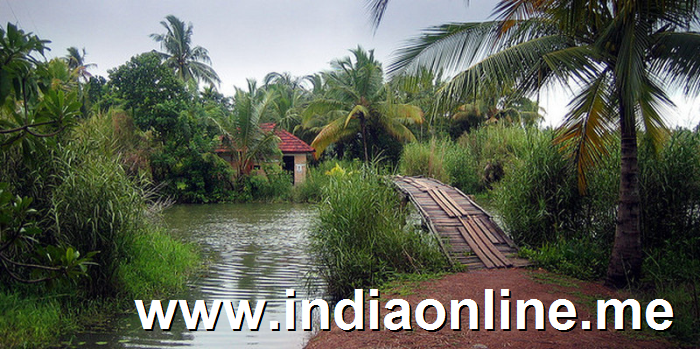 coconut-wooden-bridge-kerala