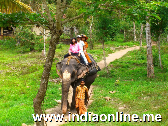 Kerala Elephant Ride