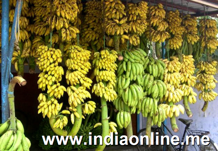 A Banana Shop in Kerala 