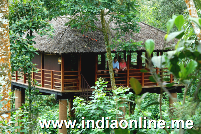kerala-tree-hoouse