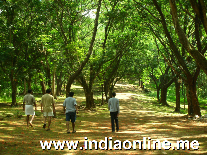 visit-malayattoor-church