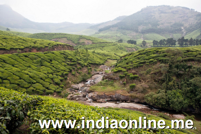 kerala-hillstations