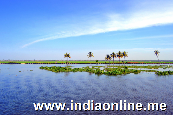 kuttanad-kerala-visit