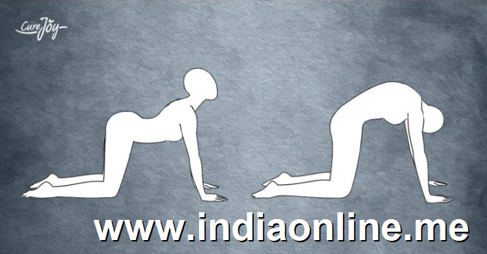 marjaryasana-bitilasana-catcow-pose